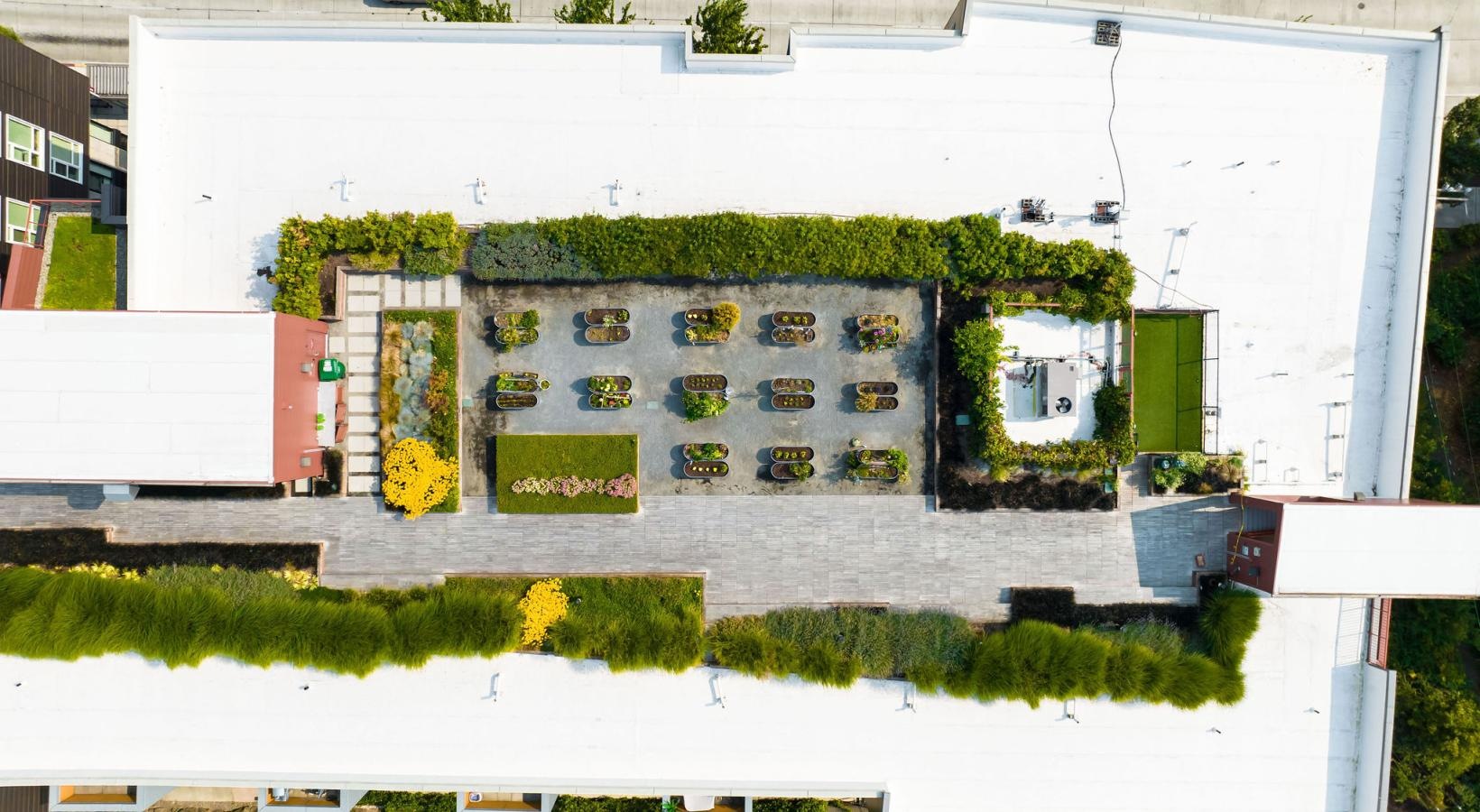Find your perfect fit at Forge West Seattle an aerial view of a building with a large courtyard
